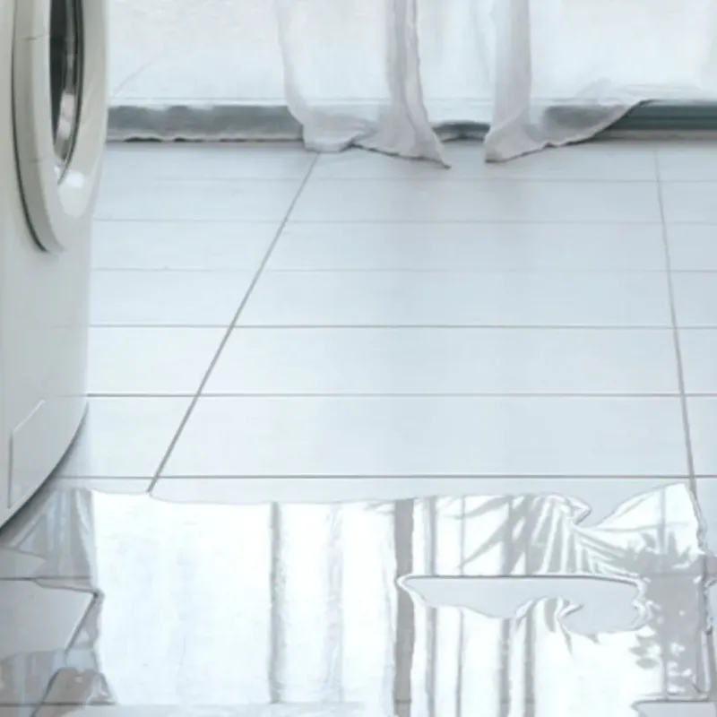 Appliance Leak Cleanup in Bay County, FL