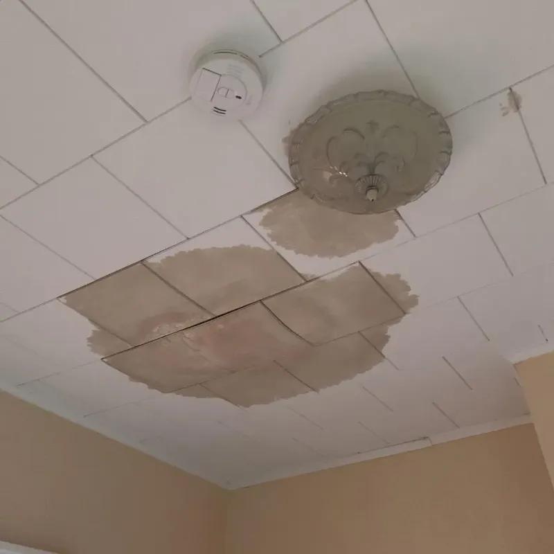 Ceiling Water Damage Repair in Bay County, FL